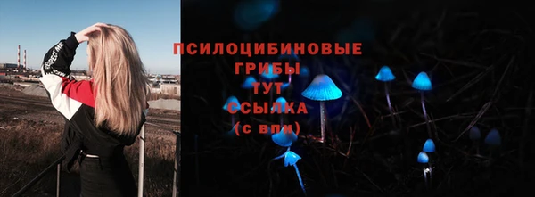 эйфоретик Алексин