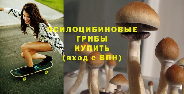 индика Алексеевка