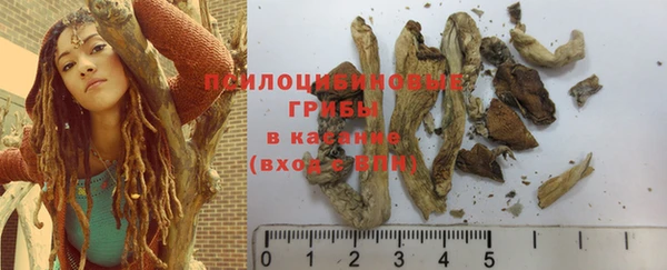 эйфоретик Алексин