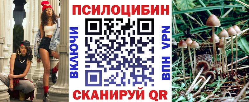 Псилоцибиновые грибы Psilocybine cubensis Феодосия