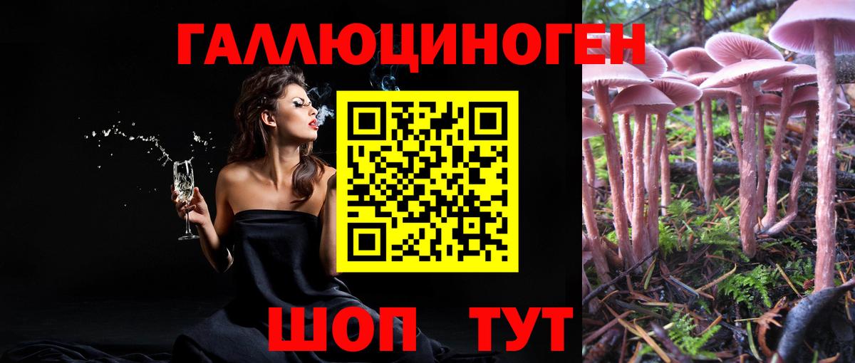 Псилоцибиновые грибы Psilocybine cubensis  Вход с VPN  Феодосия  Галлюциногенные грибы ЛСД 